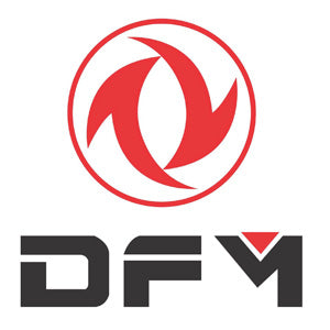 DFM